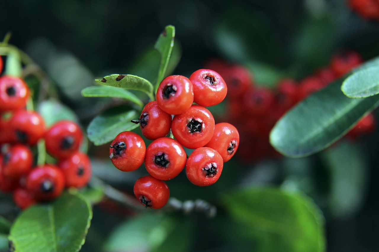 难阻失利！鲍尔全场投篮27中12，得到34分8板9助1断